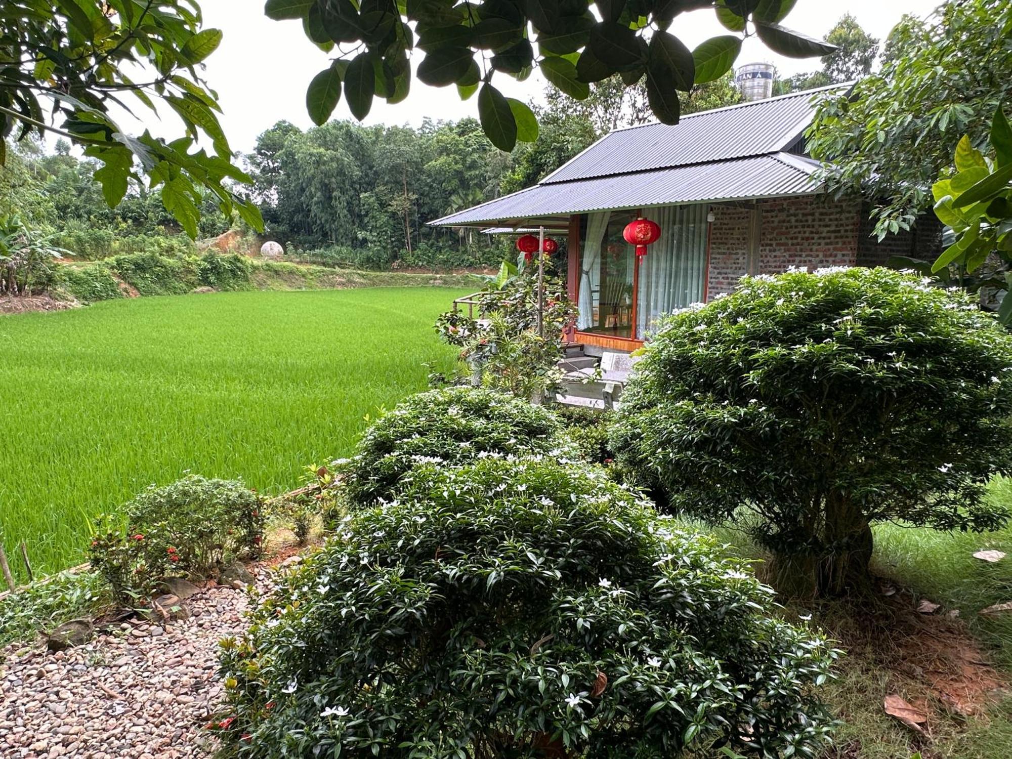 Vulinh Family -Homestay Yen Binh Exterior foto