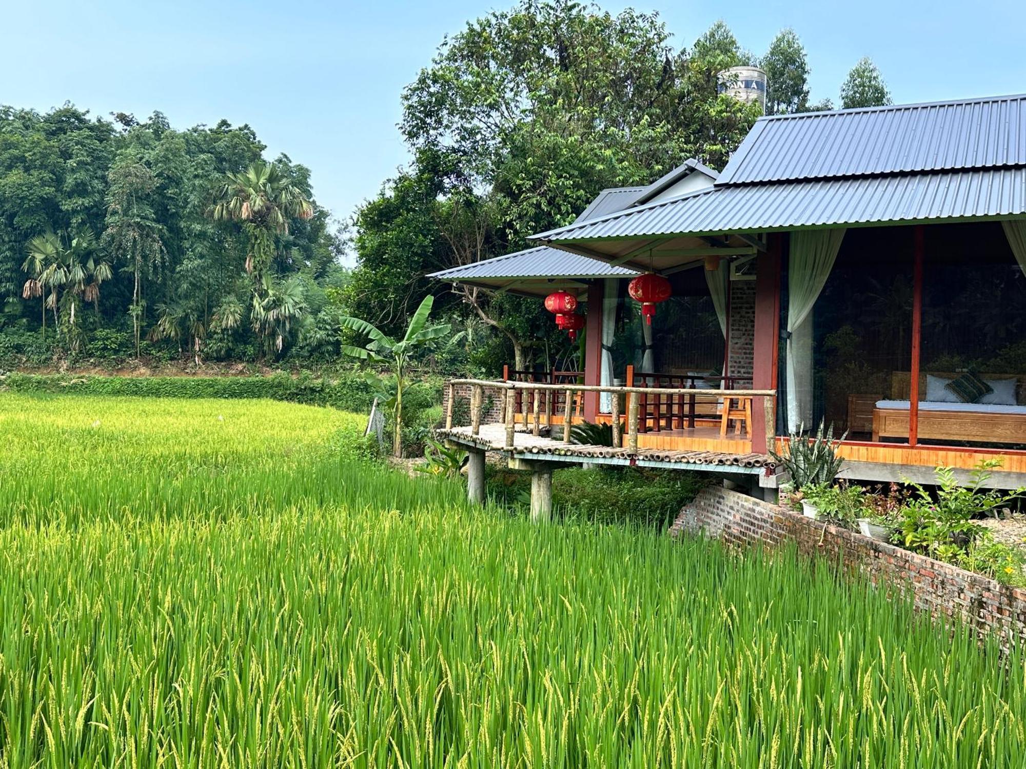 Vulinh Family -Homestay Yen Binh Exterior foto